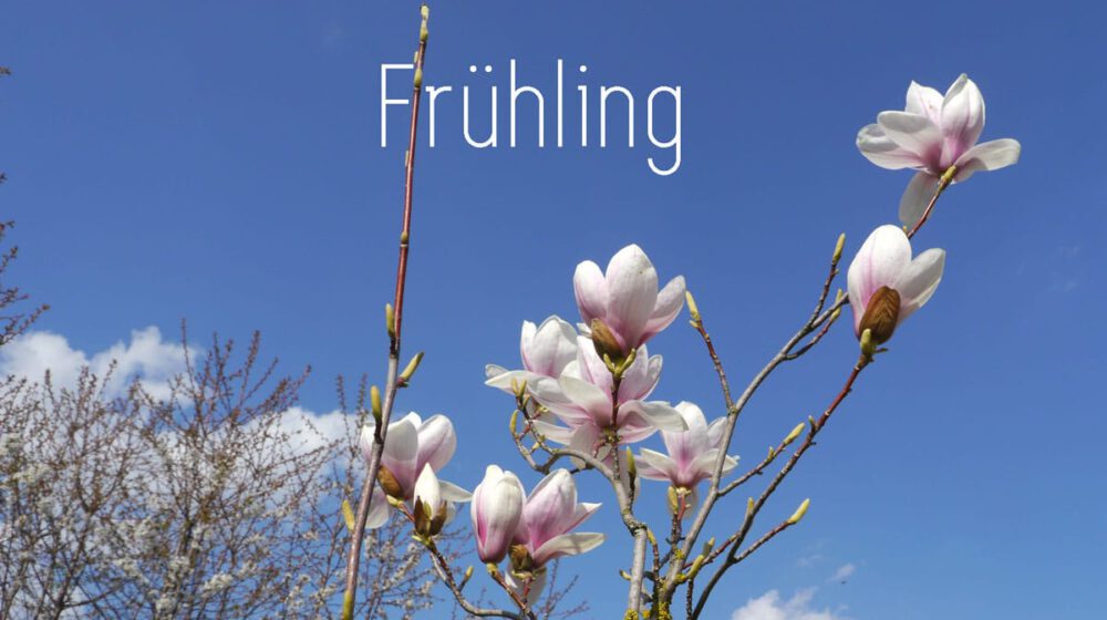Frühling